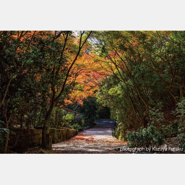 アマン京都 - AMAN KYOTO